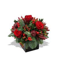 Finest Bouquets - Red Robin - Deluxe