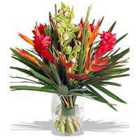 Finest Bouquets - Tropical Paradise