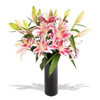 Finest Bouquets - Lily Allen