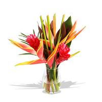 Finest Bouquets - Amazonia