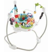 Fisher Price Discover & Grow Jumperoo