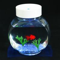 Fincredible Aquarium