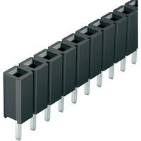 Fischer BL LP 3 36 S Low Profile Fork Contact Female Header 1x36 9...