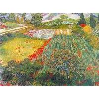Field of Poppies By Vincent van Gogh