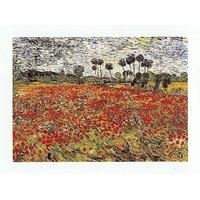 Field of Poppies By Vincent van Gogh