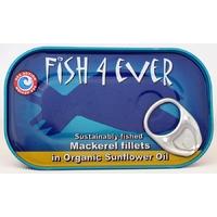 fish 4 ever mackerel fillet in sunflower oil 120g
