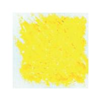 Filia Oil Pastels. Indian Yellow. Pack of 12