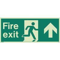 FIRE EXIT SINGLE SIDED SIGNS FOR LARGE BUILDINGS 250 X 600