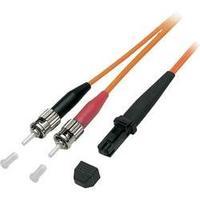 Fibreglass FOC Cable [1x MTRJ plug - 1x ST plug] 62, 5/125µ Multimode OM1 1 m EFB Elektronik