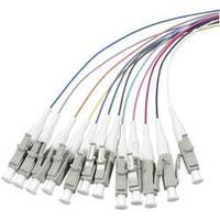 Fibreglass FOC Cable [1x LC/APC 8° plug - 1x Open end] 9/125µ Singlemode OS1 2 m EFB Elektronik