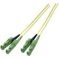 Fibreglass FOC Cable [1x E2000®/APC 8° plug - 1x E2000®/APC 8° plug] 9/125µ Singlemode OS2 7.50 m EFB Elektronik