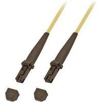 Fibreglass FOC Cable [1x MTRJ plug - 1x MTRJ plug] 9/125µ Singlemode OS2 1 m EFB Elektronik