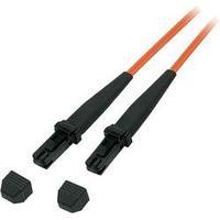 Fibreglass FOC Cable [1x MTRJ plug - 1x MTRJ plug] 62, 5/125µ Multimode OM1 3 m EFB Elektronik