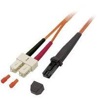 Fibreglass FOC Cable [1x MTRJ plug - 1x SC plug] 62, 5/125µ Multimode OM1 20 m EFB Elektronik