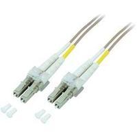Fibreglass FOC Cable [1x LC plug...