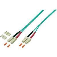 Fibreglass FOC Cable [1x SC plug...