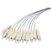 Fibreglass FOC Cable [1x SC plug - 1x Open end] 50/125µ Multimode OM4 2 m EFB Elektronik