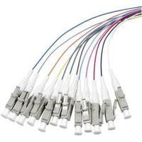 Fibreglass FOC Cable [1x LC plug - 1x Open end] 50/125µ Multimode OM4 2 m EFB Elektronik