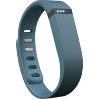 Fitbit Flex - Slate