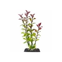Finding Nemo Blooming Ludwigia Red Plastic Plant Small