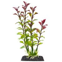 Finding Nemo Blooming Ludwigia Red Plastic Plant Large