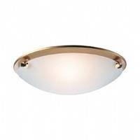 Firstlight Champagne F350 Satin Steel Flush Light