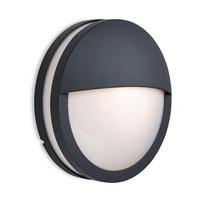 Firstlight 8356 Zenith Outdoor Graphite Wall Light with Opal Glass