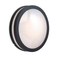 Firstlight 8354 Zenith Outdoor Graphite Wall Light with Opal Glass