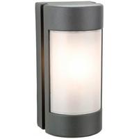 Firstlight 3426 Arena 1 Light Wall Light In Graphite With Opal Diffuser