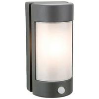 Firstlight 3427 Arena 1 Light Wall Light With PIR In Graphite With Opal Diffuser