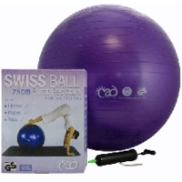 Fitness Mad Pro Swiss Ball & Pump 75cm