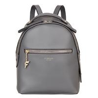 fiorelli backpacks anouk small backpack grey