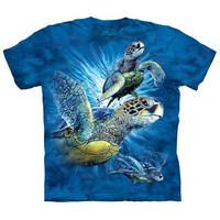 Find 9 Sea Turtles