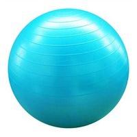 fitness mad swiss ball and pump 65cm