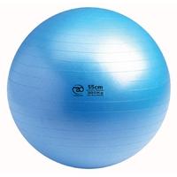Fitness Mad Swiss Ball 300kg Pump and DVD - 55cm
