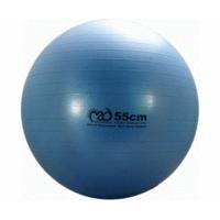 fitness mad anti burst swiss ball 55cm