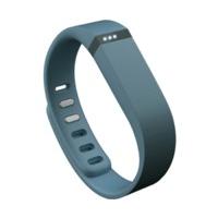 Fitbit Flex Slate Grey