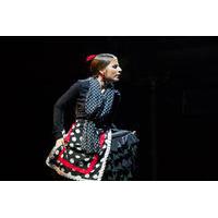 Flamenco Show at Theatre Principal in Barcelona