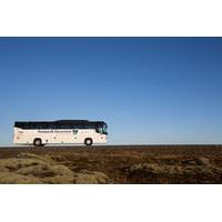 Flybus Round-Trip Shuttle from Keflavik Airport to Reykjavik City Centre