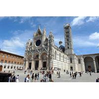 Florence Sightseeing: 3-Day Experience Including Three Florence Tours plus Return Transfer from Florence Airport
