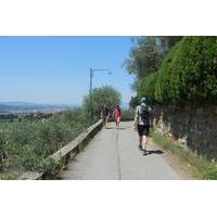 Florentine Hills Half-Day Walking Tour and Wine Tasting