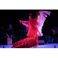 Flamenco Show at La Bodega Flamenca