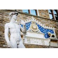 Florence Super Saver: Skip-the-Line Renaissance Walking Tour and Accademia Gallery plus Chianti Wine Tasting