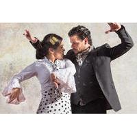 Flamenco Benalmadena Show