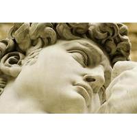Florence Sightseeing Tour with Accademia Gallery Visit