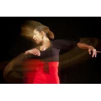 Flamenco Workshop in Nerja