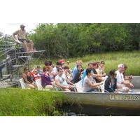 florida everglades airboat tour and alligator show from fort lauderdal ...
