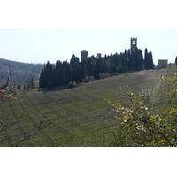 Florence Day Trip to Chianti and San Gimignano