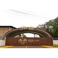 Flor de Caña Rum Distillery and León City Tour from Managua