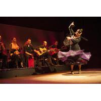 flamenco show palacio del flamenco in barcelona